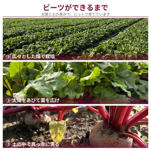 【有機】埼玉県産 ビーツ(たっぷりお徳用) 1kg(3-6個) 1袋