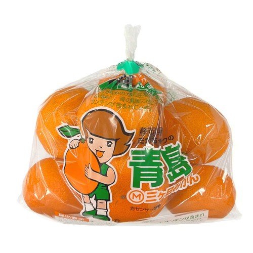 みかん 静岡県産 三ヶ日こつぶみかん 520g 8-10個 S-2Sサイズ 1パック Green