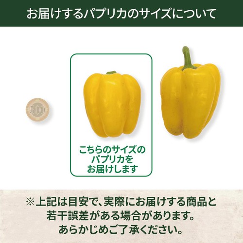 [鮮度+] 栃木県産 パプリカ(黄) 1個