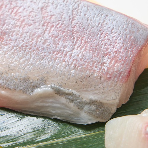 [鮮度+]【冷蔵】 活〆養殖カンパチ刺身用 冊 150g