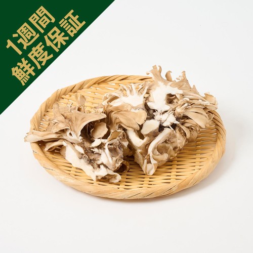 まいたけ 鮮度+］新潟県産 雪国まいたけ極 LLパック 300g 1パック Green Beans