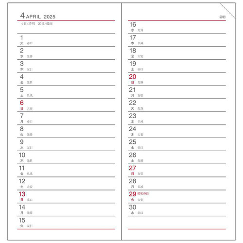 ダイゴー 2025年手帳 1ヵ月横罫 薄型 1月始まり スケジュール帳 アポイント ブラック  E1001