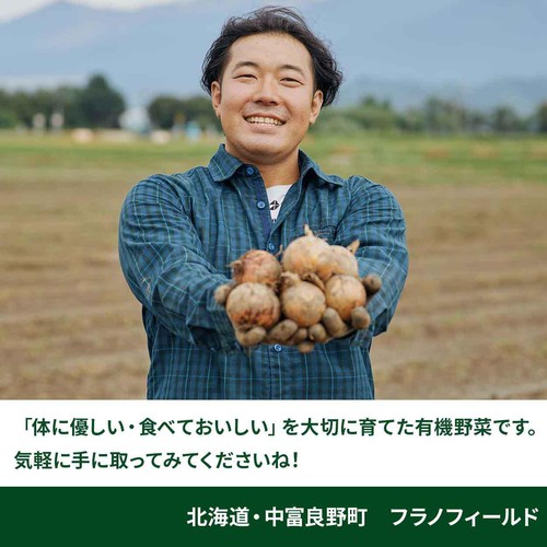 【有機】北海道産 野菜セット 4種 1箱