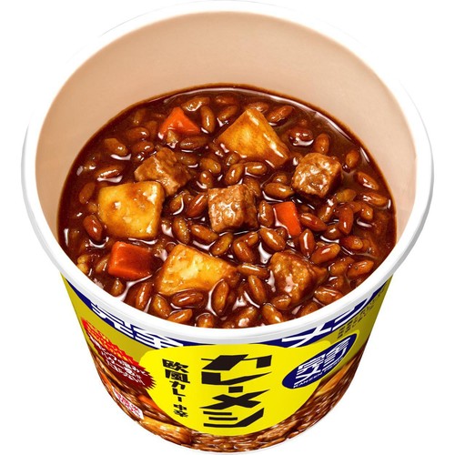 日清食品 完全メシ カレーメシ 欧風カレー 119g