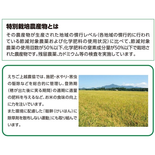 特別栽培米 新潟県産コシヒカリ 2kg トップバリュ
