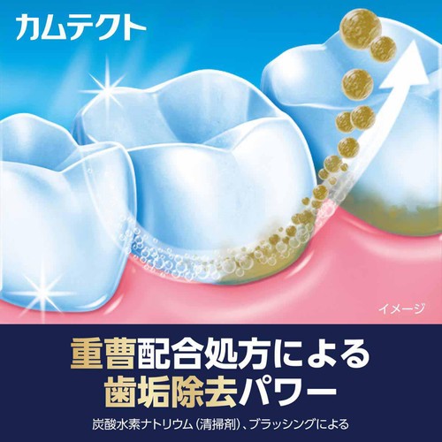 gsk カムテクトプレミアム +ホワイトニング 95g