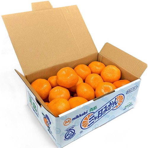 静岡県産 三ヶ日みかん Lサイズ 3kg 箱 Green Beans | グリーン