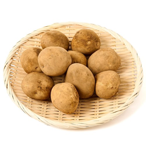 じゃがいも 掘りたて】種子島産 新じゃがいも 2S・S・Mサイズ 2kg(箱別