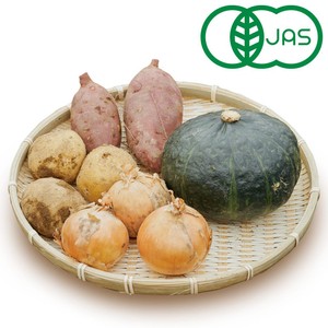 北海道産 野菜セット 有機】北海道産 野菜セット 4種 1箱 Green Beans | グリーンビーンズ