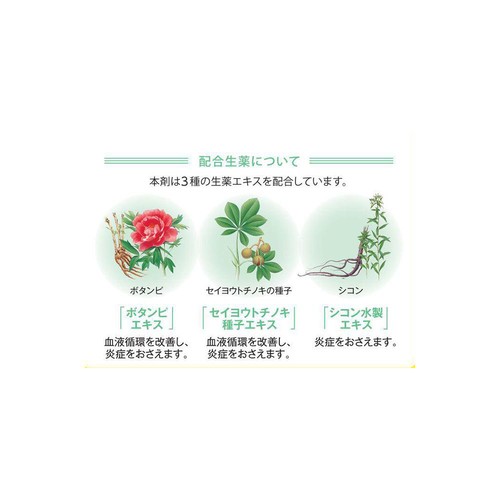 【第2類医薬品】内服ボラギノールEP 16包