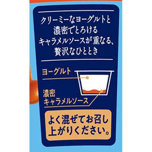 ダノン 大人の賢いスイーツヨーグルト 濃密キャラメル 90g