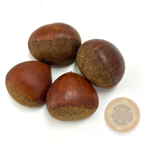 国内産 生栗 450g