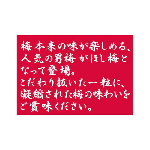 ノーベル 男梅ほし梅 20g Green Beans | グリーンビーンズ by AEON