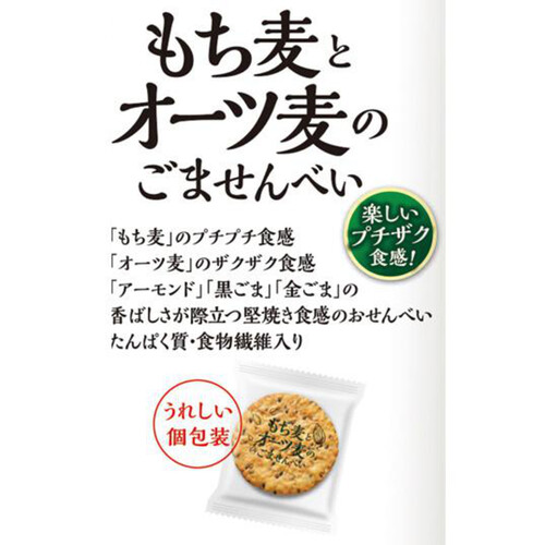 岩塚製菓 もち麦とオーツ麦のごませんべい 9枚入