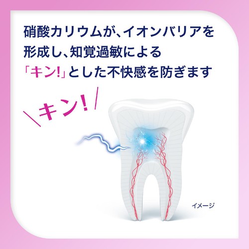 シュミテクト 歯周病ケア + 口臭予防 90g