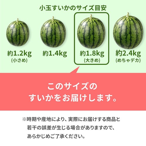 千葉県千葉市産 平山甘熟タネごと食べられるすいかピノ・ガール