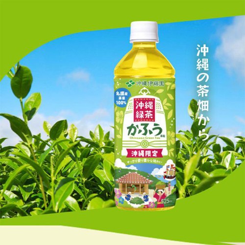 沖縄伊藤園 沖縄緑茶 かふう 525ml