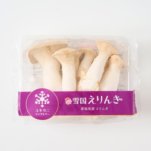 鮮度+］新潟県産 雪国えりんぎ 300g 1パック Green Beans | グリーン