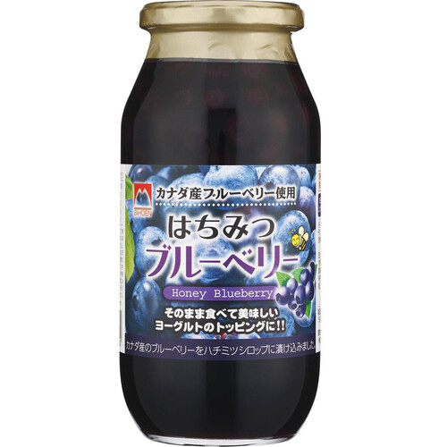 加藤美蜂園 はちみつブルーベリー 650g