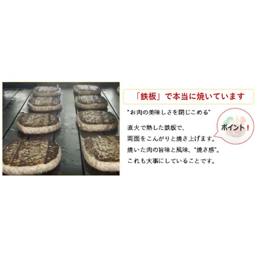 日東ベスト JG ハンバーグヴィアンド【冷凍】 110g