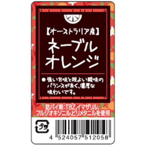 オーストラリア産 ネーブルオレンジ 4個入