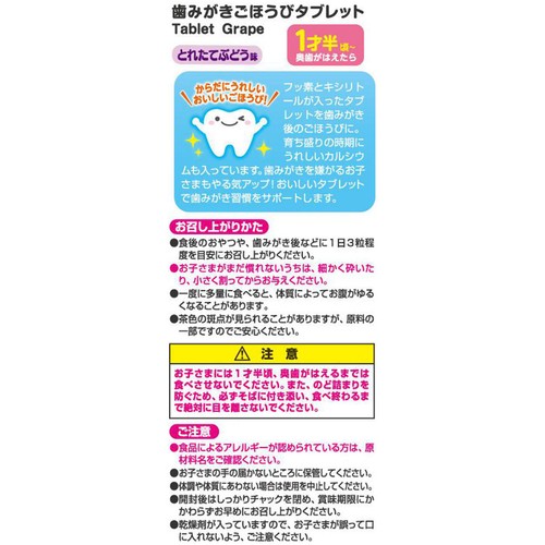 コンビ 歯みがきタブレットとれたてぶどう　1歳半頃から 60粒