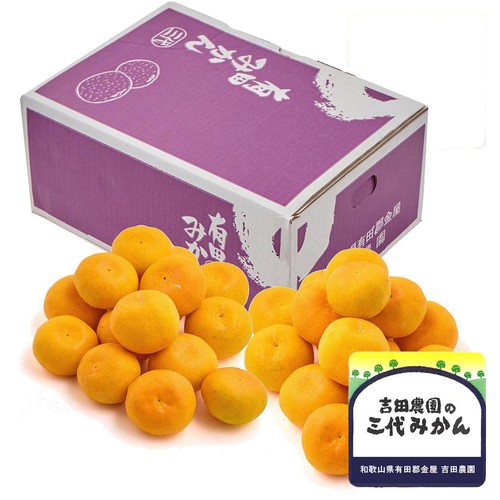 和歌山県産 ギュッと濃厚 吉田農園の有田三代みかん(丹生系) 2Lサイズ