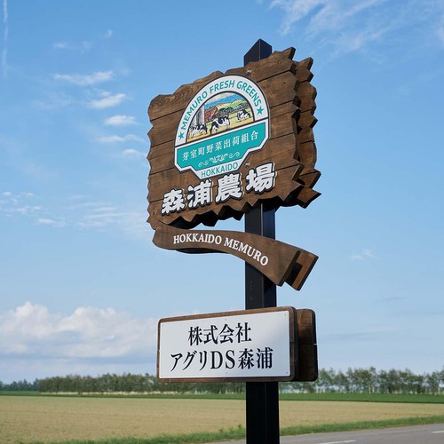 北海道産森浦農場 カラフルじゃがいも 350g x 3品種