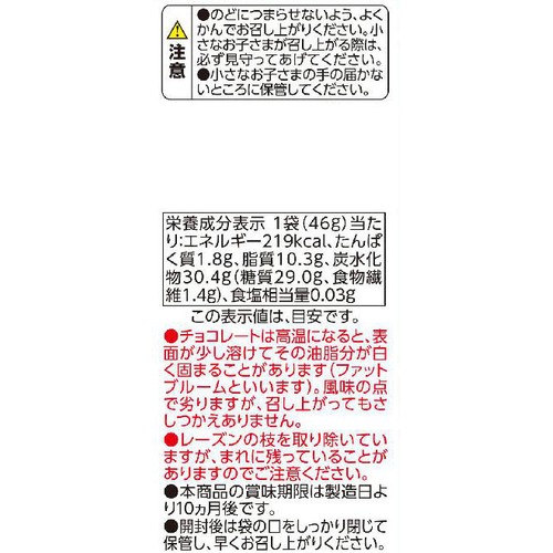 レーズンチョコ 46g トップバリュベストプライス