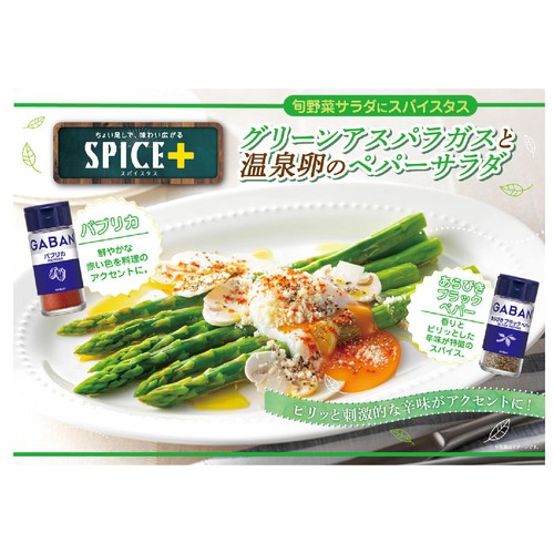 ハウス食品 GABAN ギャバン パプリカ 18g