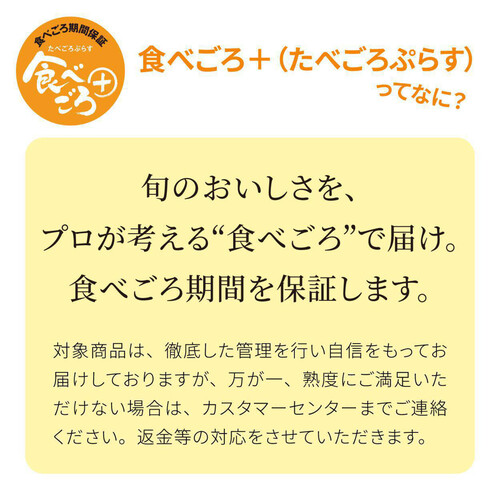 ［食べごろ+］長野県産 ナガノパープル 250g