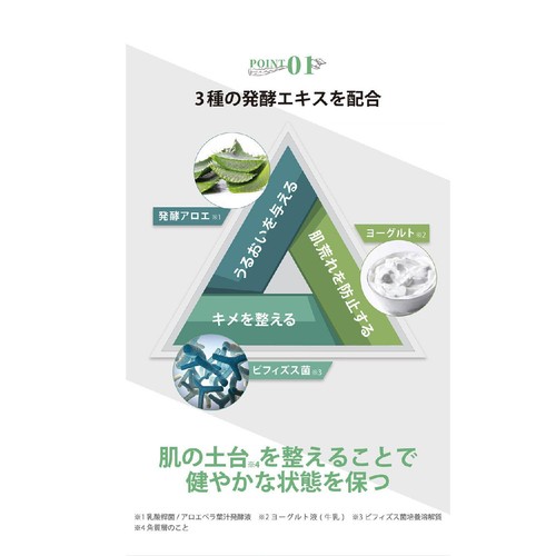 アロインス アロエメイド 発酵ジェル AY  100g