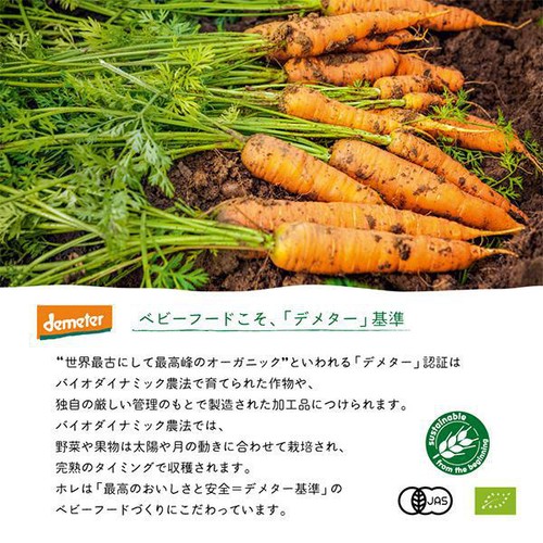 Holle 有機ベビースムージー パワーパロット 6か月ごろから 100g