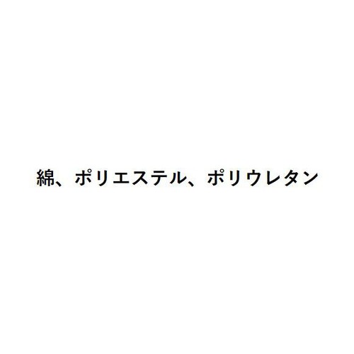 グンゼ BODY WILD メンズ3Dフットカバー浅履き 25-27cm ブラックネイビー