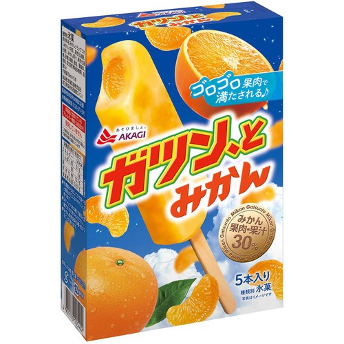 赤城乳業 ガツン、とみかん 58ml x 5本入