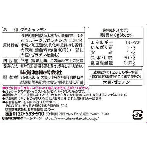 UHA味覚糖 モチド ぶどう味 40g Green Beans | グリーンビーンズ