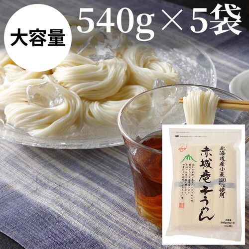 赤城食品 赤城庵そうめん 540g x 5袋入