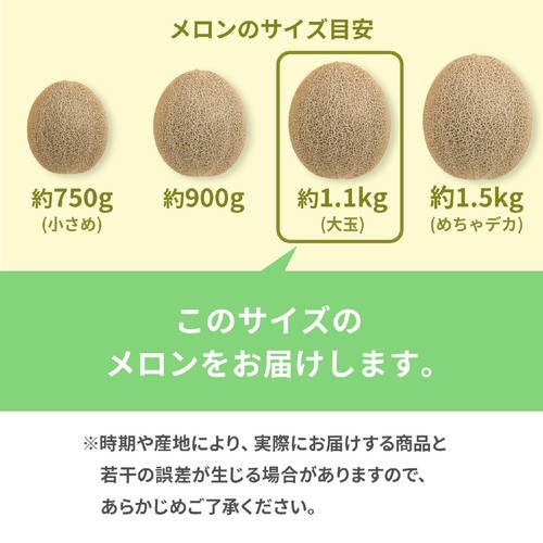 ［食べごろ+］青森県産 工藤さんのタカミメロン 大玉 1.1kg　1個
