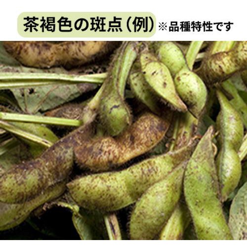 兵庫県産 丹波黒えだ豆 180g