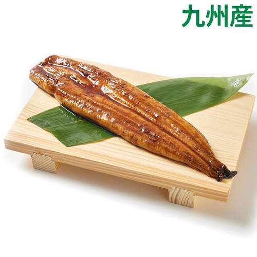 冷凍】 九州産うなぎ蒲焼(長焼) 大 1尾 140g Green Beans | グリーン