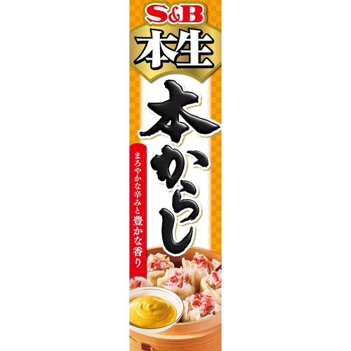 エスビー食品 本生 本からし 43g