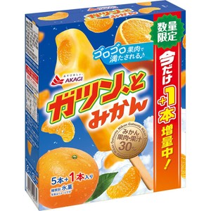 みかん 赤城乳業 ガツン、とみかん (一本増量) 58ml x 6本入 Green Beans
