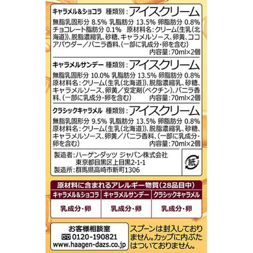 ハーゲンダッツ アソートボックス キャラメルパーティー 70ml x 6個入