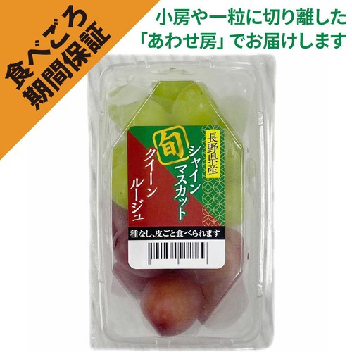 ［食べごろ+］長野県産 たけむらふぁーむのシャインマスカットとクイーンルージュ 250g