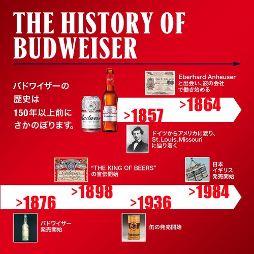 【5%】 ABInBev バドワイザー 1ケース 330ml x 24本