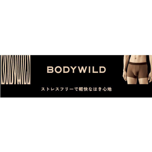 グンゼ BODY WILD EZXボクサーグラデーション 2024 LL アーバンブラック