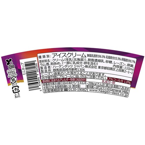 ハーゲンダッツ ミニカップ 芳醇ラムレーズン 110ml
