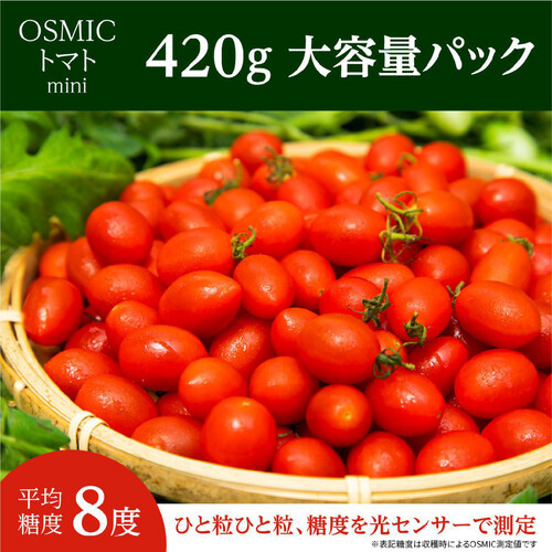 千葉県産 OSMICトマト mini 420g 1パック