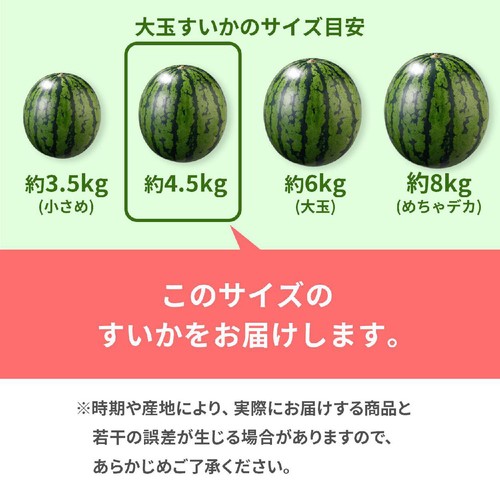 熊本県産 味咲すうぃーと(羅皇ザ・スウィート) 大玉すいか 4.5kg 1玉