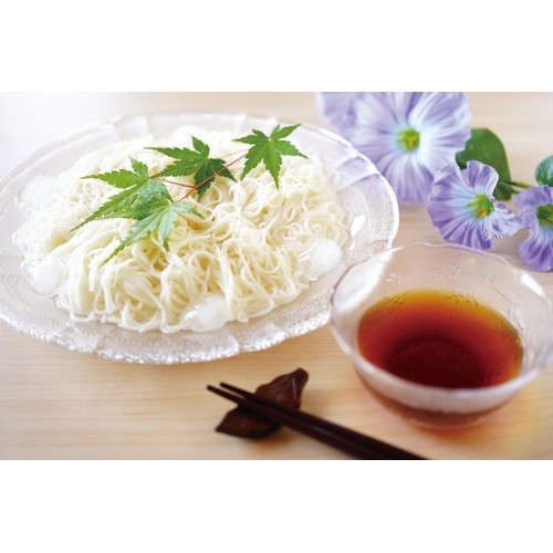 パール金属 レンジで出来ちゃう そうめんメーカー  D-6092